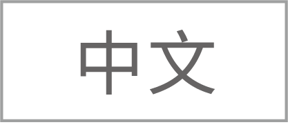 中文